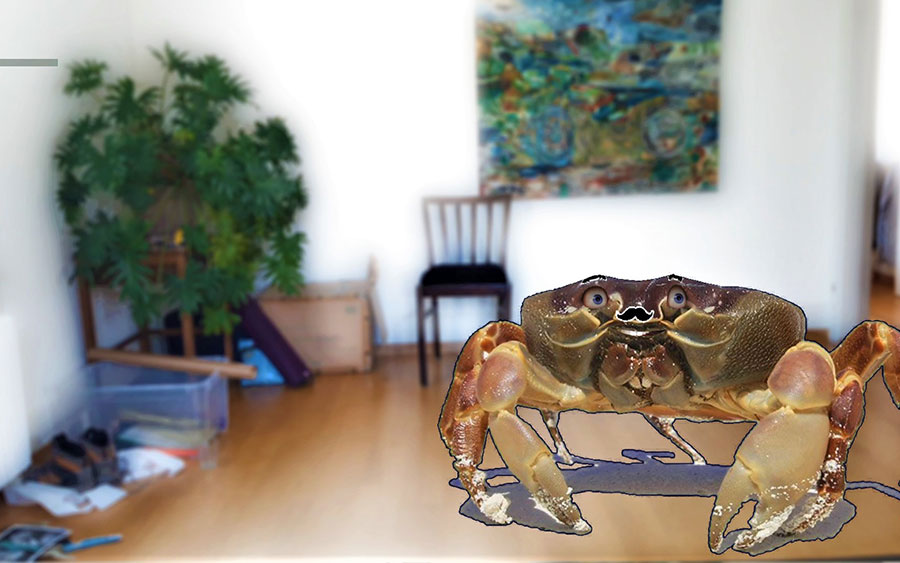 eine Krabbe im Wohnzimmer